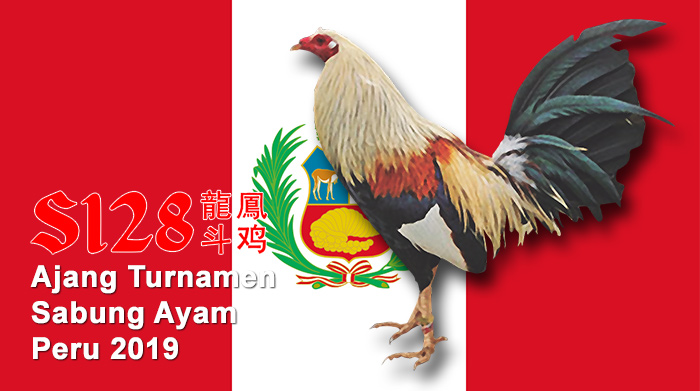 Ajang Turnamen Sabung Ayam Peru 2019