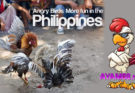 Sejarah Adu Ayam Taji/Tari Filipina (Sabong)