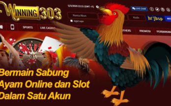 Bermain Sabung Ayam Online dan Slot Dalam Satu Akun