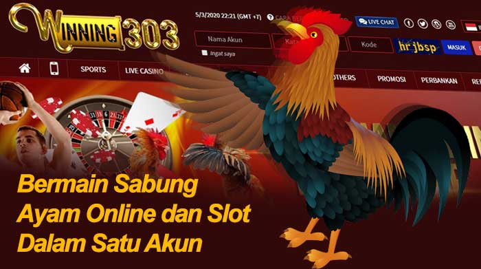 Bermain Sabung Ayam Online dan Slot Dalam Satu Akun