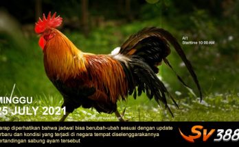 Jadwal Sabung Ayam Sv388 25 Juli 2021
