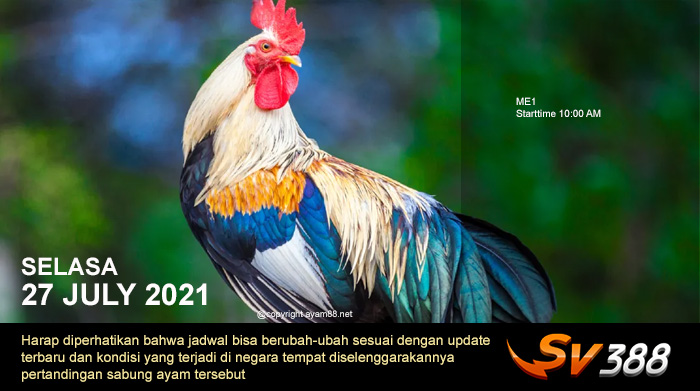 Jadwal Sabung Ayam Sv388 27 Juli 2021