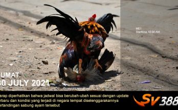 Jadwal Sabung Ayam Sv388 30 Juli 2021