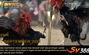 Jadwal Sabung Ayam Sv388 27 September 2021