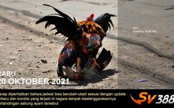 Jadwal Sabung Ayam Sv388 20 Oktober 2021