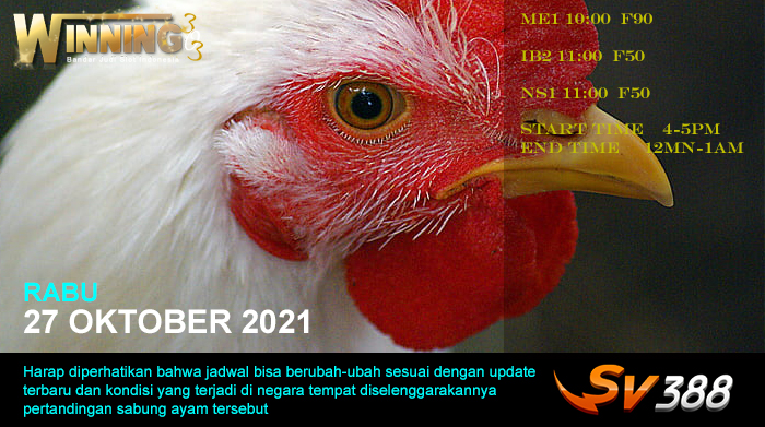 Jadwal Sabung Ayam Sv388 27 Oktober 2021