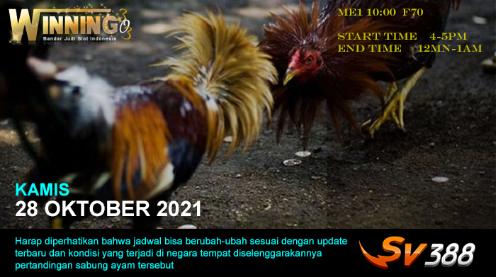 Jadwal Sabung Ayam Sv388 28 Oktober 2021