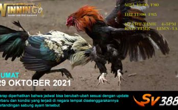 Jadwal Sabung Ayam Sv388 29 Oktober 2021