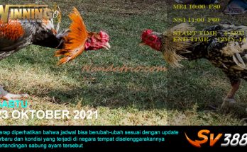 Jadwal Sabung Ayam Sv388 23 Oktober 2021