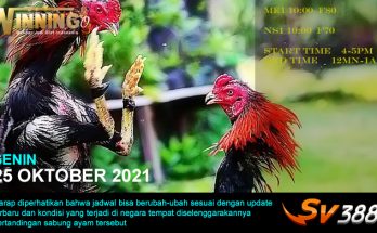 Jadwal Sabung Ayam Sv388 25 Oktober 2021