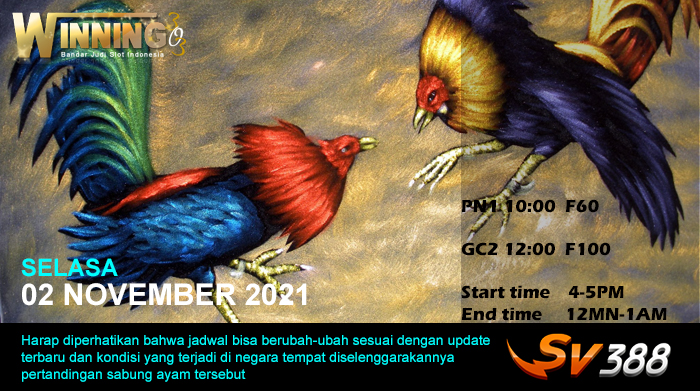 Jadwal Sabung Ayam Sv388 02 November 2021