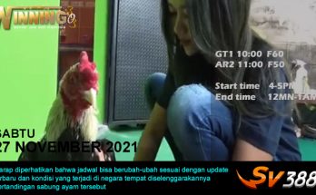Jadwal Sabung Ayam Sv388 27 November 2021