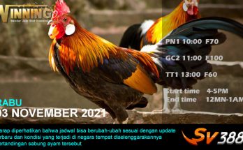 Jadwal Sabung Ayam Sv388 03 November 2021