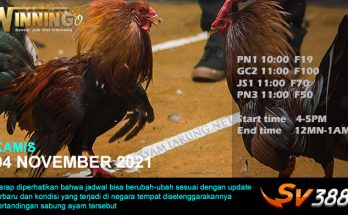 Jadwal Sabung Ayam Sv388 04 November 2021