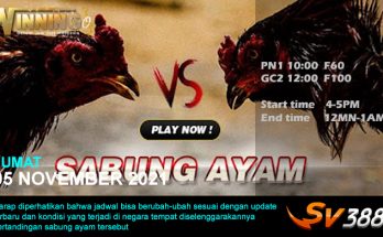 Jadwal Sabung Ayam Sv388 05 November 2021