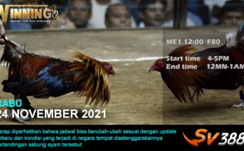 Jadwal Sabung Ayam Sv388 24 November 2021
