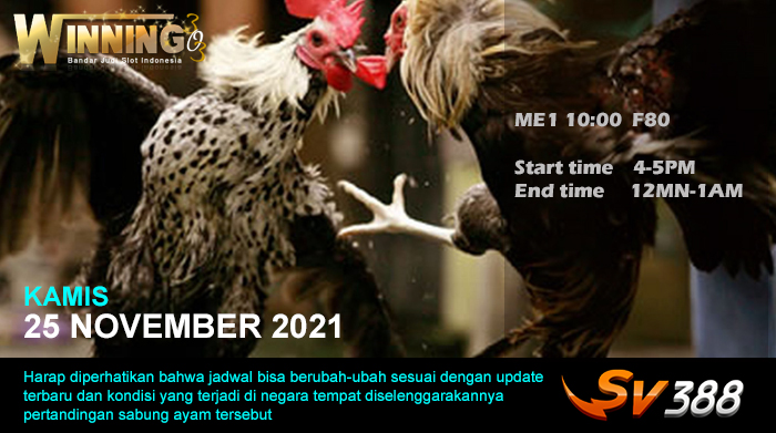 Jadwal Sabung Ayam Sv388 25 November 2021