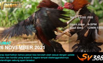 Jadwal Sabung Ayam Sv388 26 November 2021