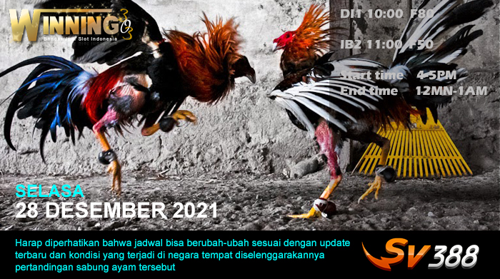 Jadwal Sabung Ayam Sv388 28 Desember 2021