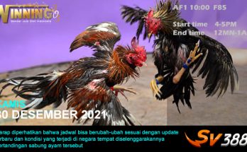 Jadwal Sabung Ayam Sv388 30 Desember 2021