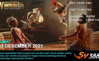 Jadwal Sabung Ayam Sv388 31 Desember 2021