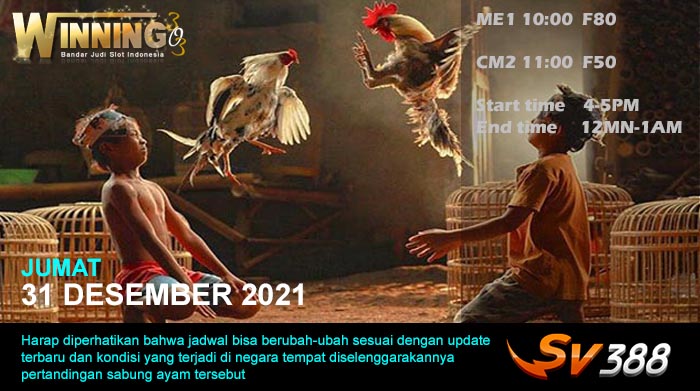 Jadwal Sabung Ayam Sv388 31 Desember 2021
