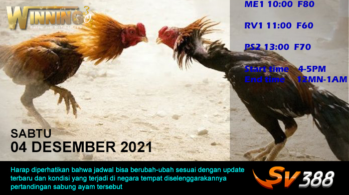 Jadwal Sabung Ayam Sv388 04 Desember 2021