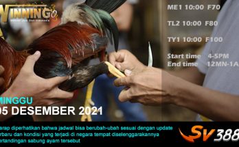 Jadwal Sabung Ayam Sv388 05 Desember 2021