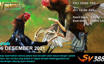 Jadwal Sabung Ayam Sv388 06 Desember 2021