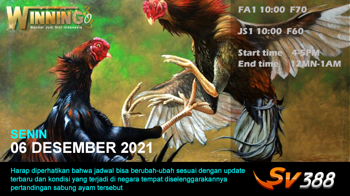 Jadwal Sabung Ayam Sv388 06 Desember 2021