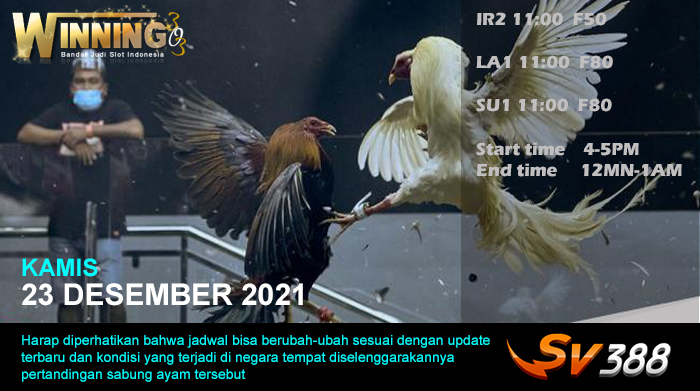 Jadwal Sabung Ayam Sv388 23 Desember 2021
