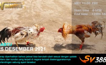 Jadwal Sabung Ayam Sv388 25 Desember 2021