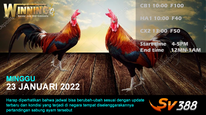Jadwal Sabung Ayam Sv388 23 Januari 2022