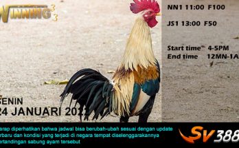 Jadwal Sabung Ayam Sv388 24 Januari 2022