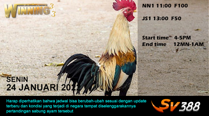 Jadwal Sabung Ayam Sv388 24 Januari 2022