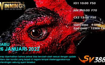 Jadwal Sabung Ayam Sv388 26 Januari 2022