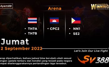 Jadwal Resmi Live Sabung Ayam SV388 2 September 2022