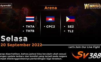 Jadwal Resmi Live Sabung Ayam SV388 20 September 2022