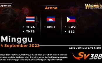 Jadwal Resmi Live Sabung Ayam SV388 4 September 2022