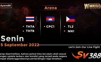 Jadwal Resmi Live Sabung Ayam SV388 5 September 2022