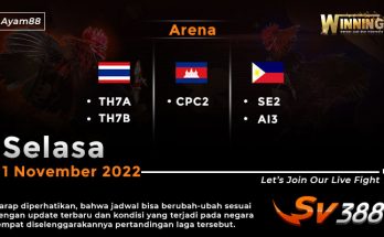 Jadwal Resmi Live Sabung Ayam SV388 1 November 2022