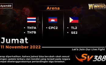 Jadwal Resmi Live Sabung Ayam SV388 11 November 2022