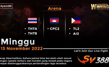 Jadwal Resmi Live Sabung Ayam SV388 13 November 2022