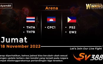 Jadwal Resmi Live Sabung Ayam SV388 18 November 2022
