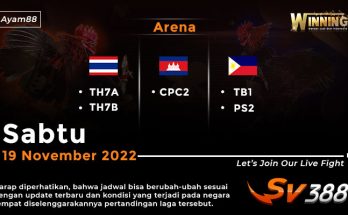 Jadwal Resmi Live Sabung Ayam SV388 19 November 2022
