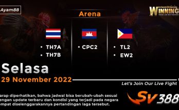 Jadwal Resmi Live Sabung Ayam SV388 29 November 2022