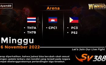 Jadwal Resmi Live Sabung Ayam SV388 6 November 2022