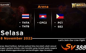 Jadwal Resmi Live Sabung Ayam SV388 8 November 2022