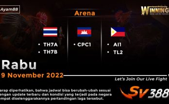 Jadwal Resmi Live Sabung Ayam SV388 9 November 2022